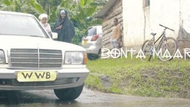 VIDEO: Bonta Maarifa - WWB (Wana Wanywe Bia) (Mp4 Download)
