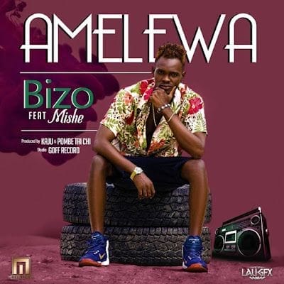 VIDEO: Bizo Man Ft. Toto Boy - Amelewa (Mp4 Download)