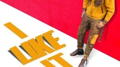 Audio: Darassa Ft Sho Madjozi - I Like It (Mp3 Download)