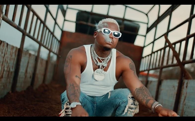 VIDEO: Harmonize - Teacher (Mp4 Download)