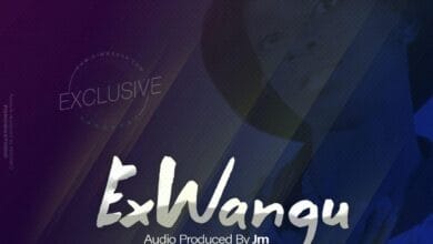 Audio: D Voice – Ex wangu (Mp3 Download)