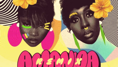 Zuchu ft Spice - Amanda Remix